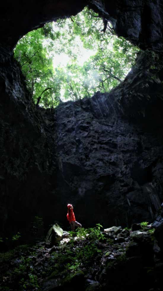 2023年第四季度海西金融、旅游、健康、消费信心指数正式发布
