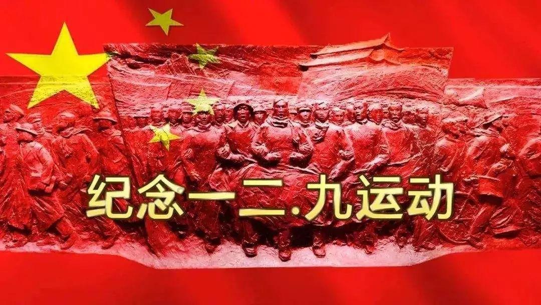 新春走基层｜洪安脐橙搭乘西部陆海新通道“出海”