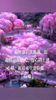 史小坑的爆笑生活10